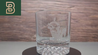 Bison Glasses, Outdoor Glasses, Gift for Outdoor, Bar Whiskey Glasses, Cabin Drinkware, Scotch Glass Set, Bourbon Glasses, Wildlife